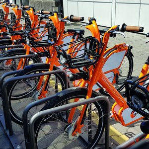 Fahrräder stehen in Fahrradständern nebeneinander 
