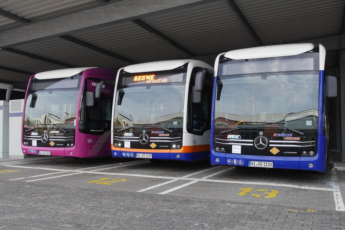 Drei unterschiedliche lackierte Busse nebeneinander