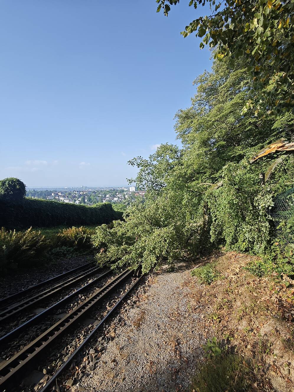 zeigt Baum auf Gleisanalge